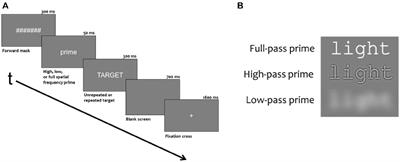 Evidence for Separate Contributions of High and Low Spatial Frequencies during Visual Word Recognition